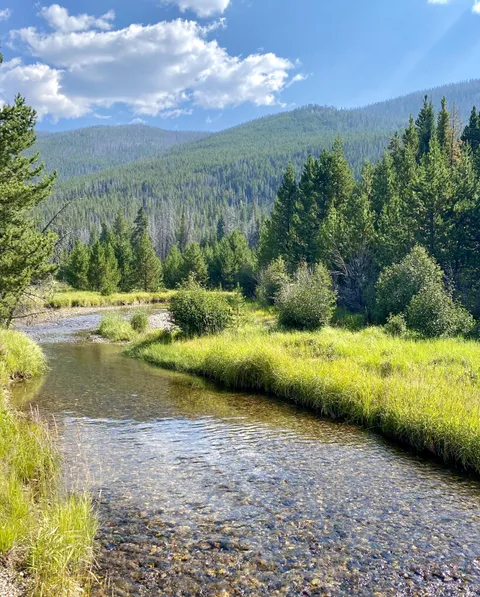 🔥Headwaters of the Colorado River in Rocky Mountain National Park