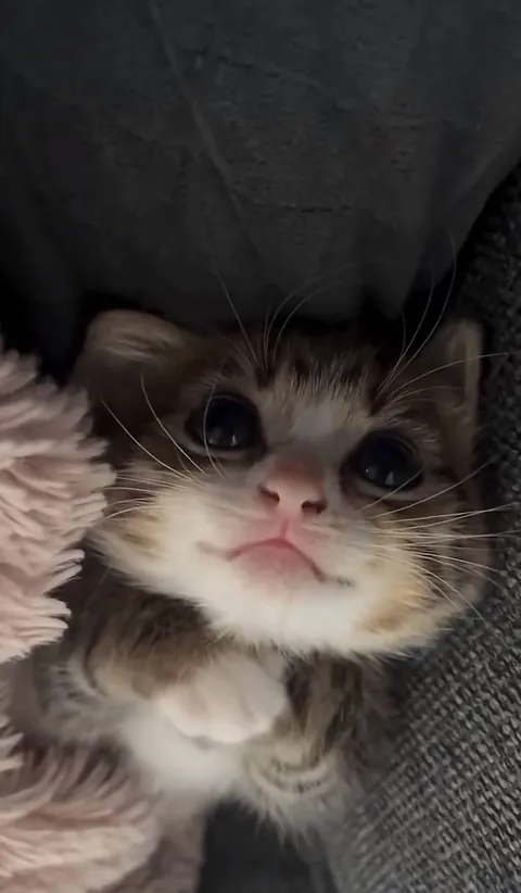 He looks so polite 😭