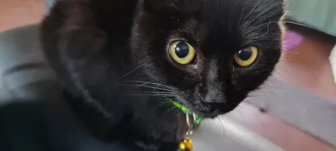 Today marks six months with me.🖤