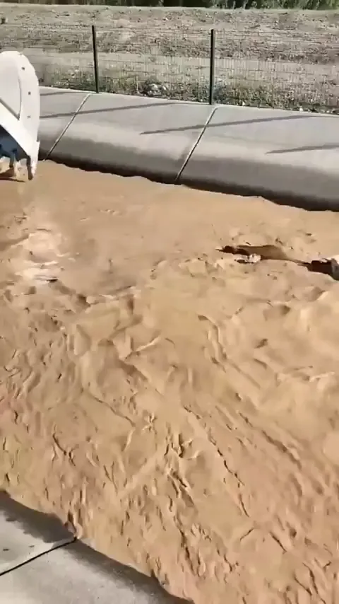 Saving a cow that fell into a stream, with an excavator