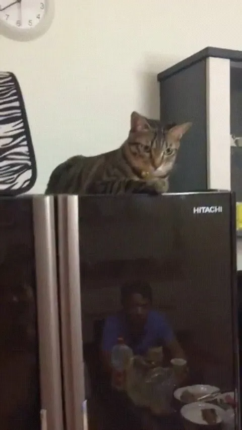 No close! Only open!