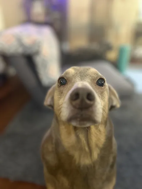 You’ve been abducted. You look over and see this face