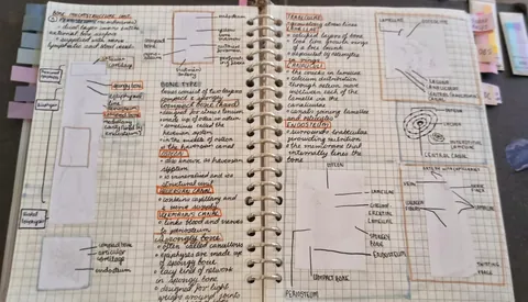 I used a portable thermal printer to do my notes and now they have faded.