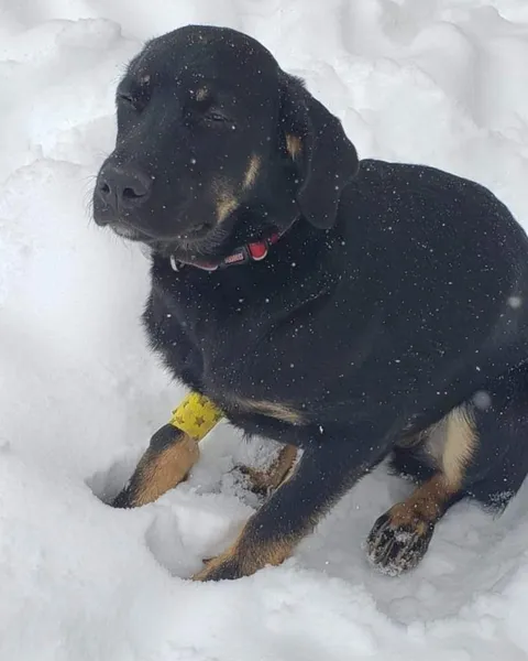 Dad.. it's cold.. I'm high.. I don't want to pee. (Just got fixed)