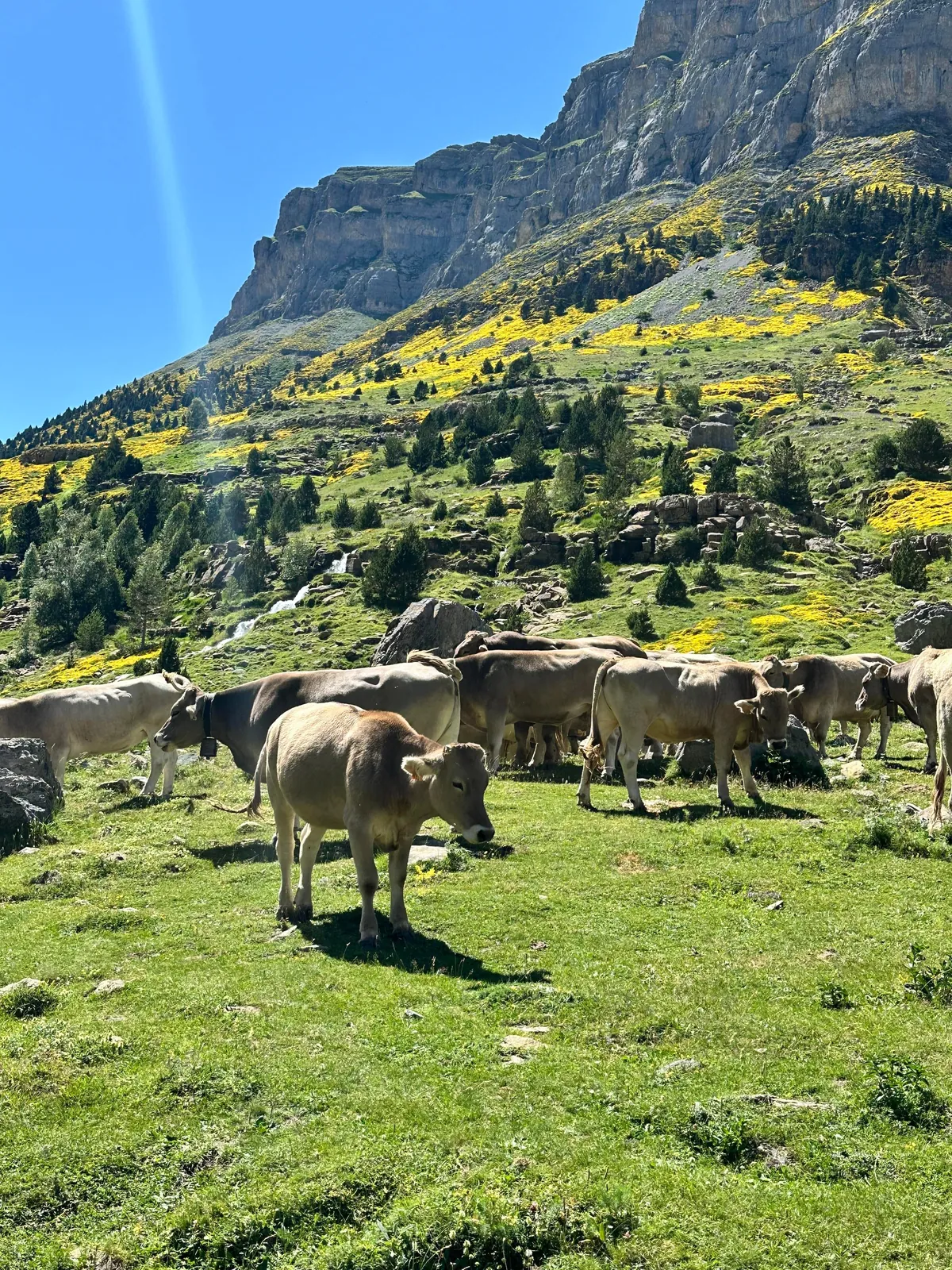 Just Chilling in the Nature (Spain)
