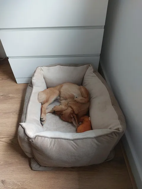 My bestest buddy Felix