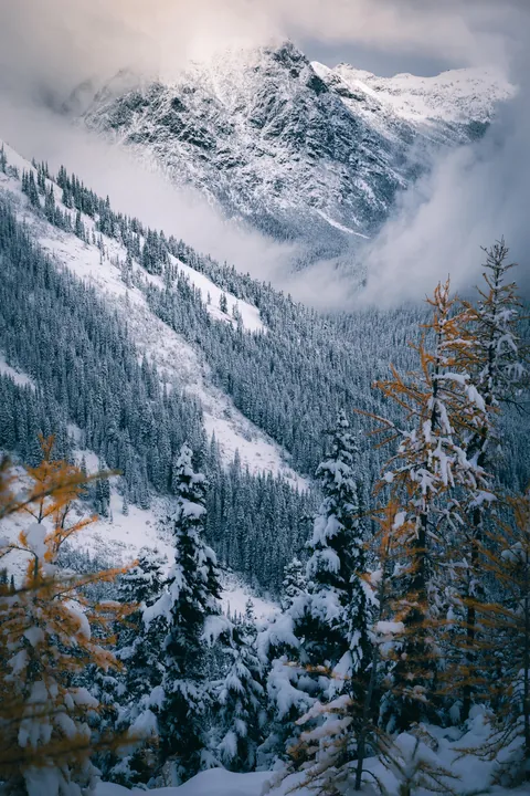 Autumn in the North Cascades [OC][5464x8192]