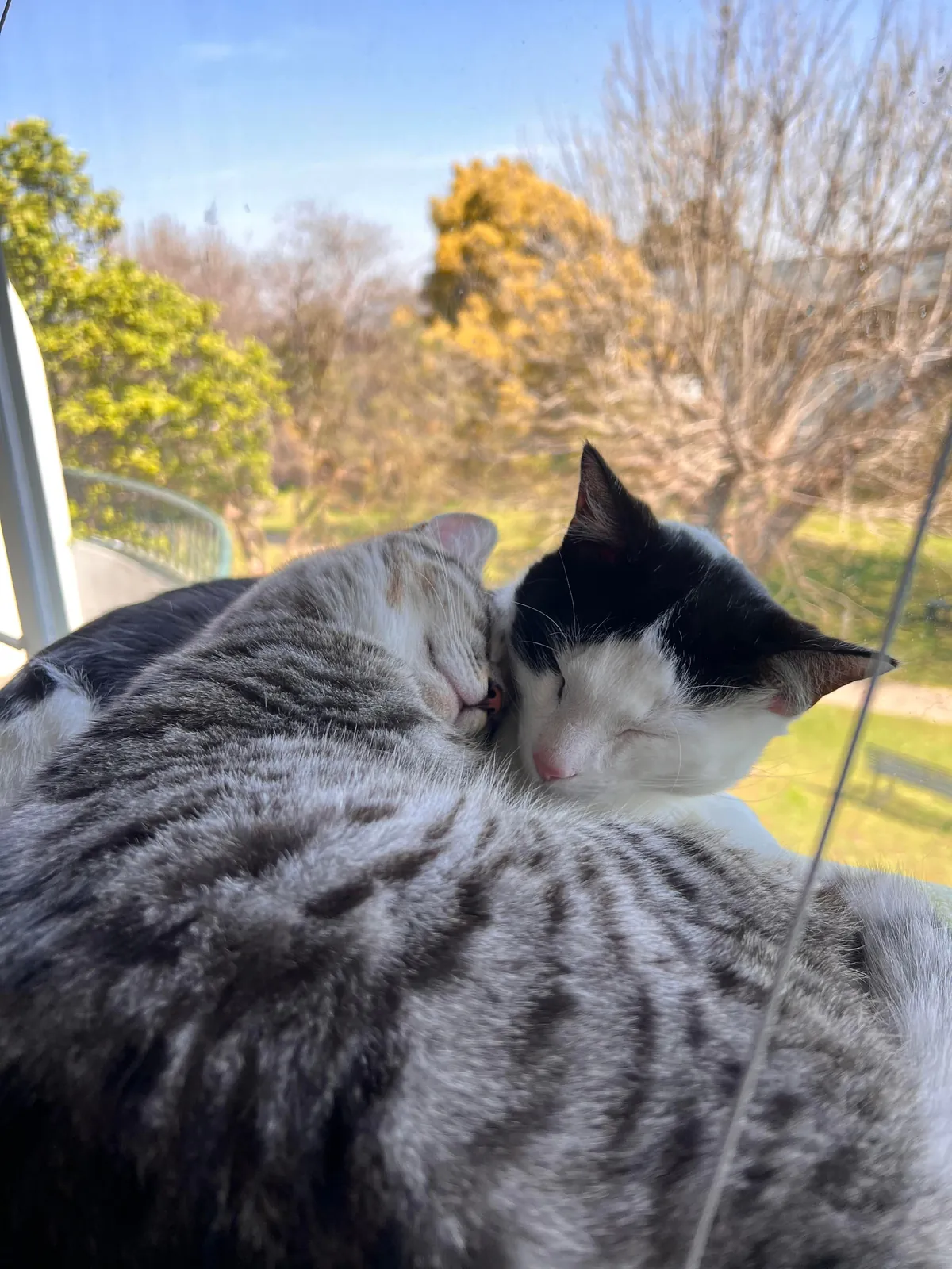 These guys have only known each other a few weeks