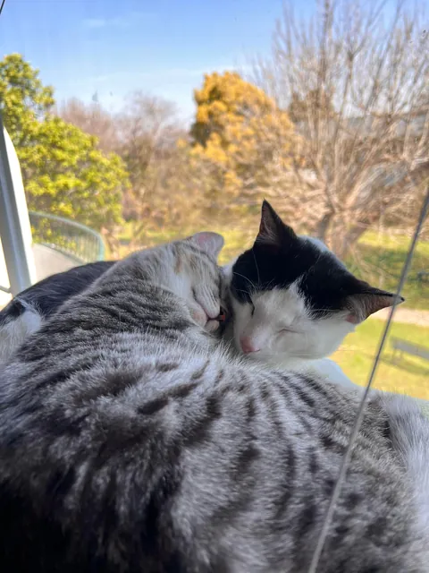 These guys have only known each other a few weeks