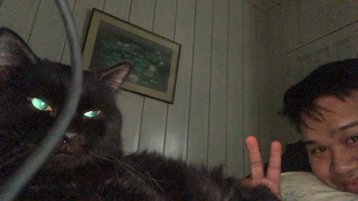 I lost my buddy a week ago.