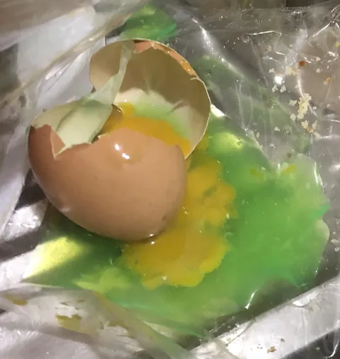 Cracked a Costco egg—green slime and a sickly yolk. Breakfast or biohazard?