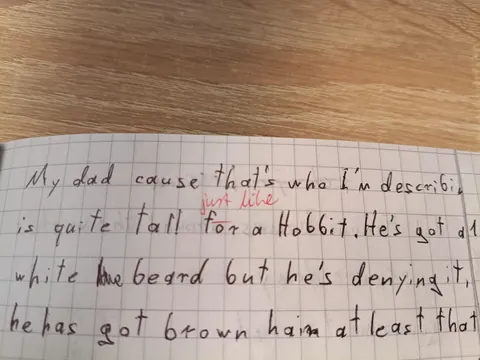 The way my teacher ,,corrected" my work