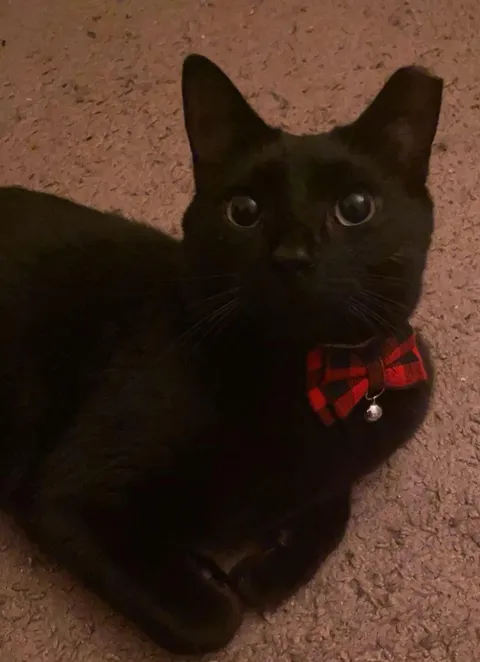 My handsome guy turns 5 today 💕