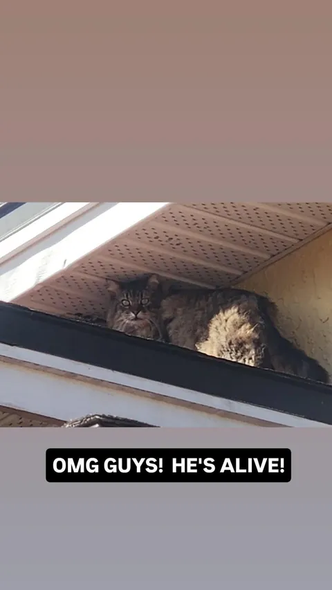 A year and a half, but my little boy is home.