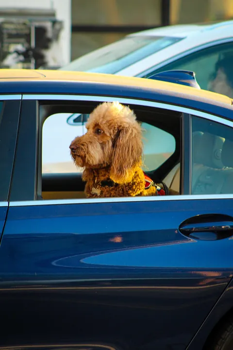 The Tesla Diner in Hollywood threw a Halloween party tonight… so the protesters outside did too [OC]