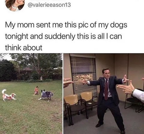 they’re about to go sicko