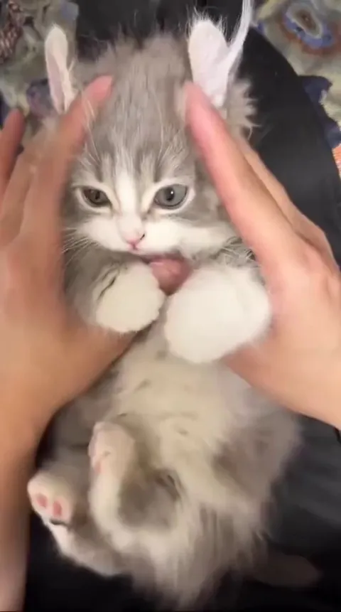 Those tiny kicks ❤️