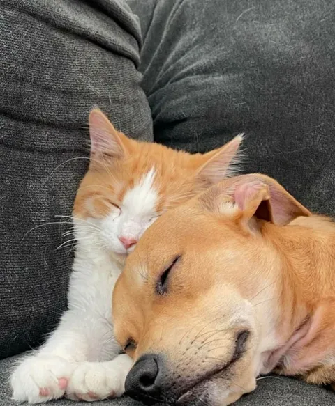 Best friends for life😍