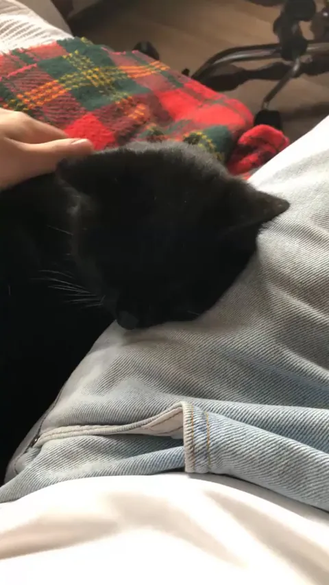 First meeting with my grandmother's cat 🥹