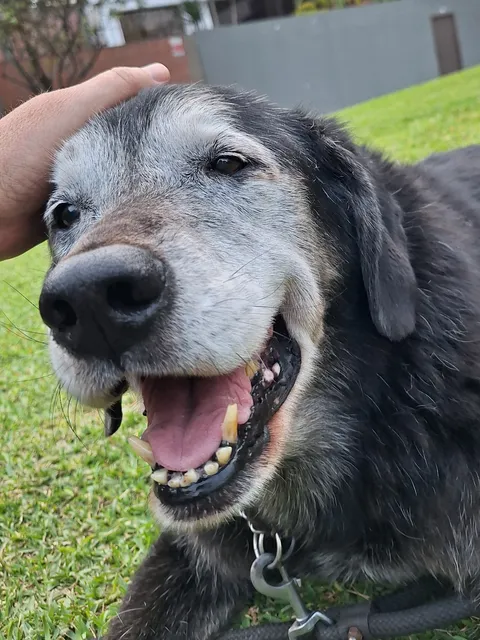 This is Z. He is 15. He is very happy today