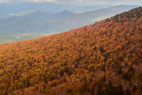 Hakkoda Mountains, Japan [OC] [4494x2996]