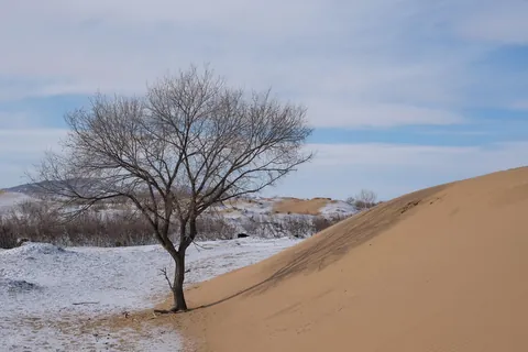 Mongolia in winter: Cold, quiet and unrivalled beauty 🇲🇳