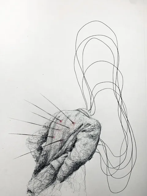 Some of my pen and ink drawings on paper.