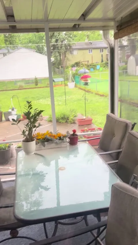 What is this squirrel doing in my planter box?