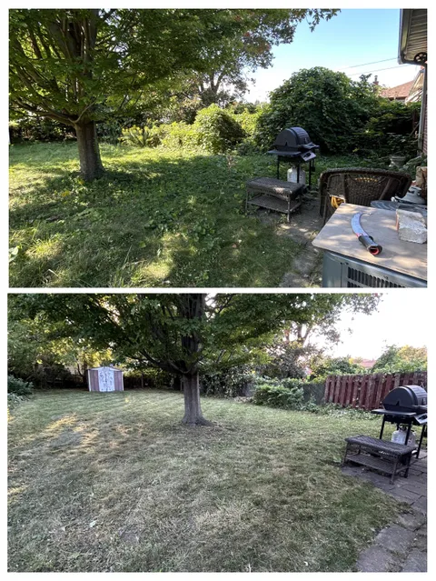 Before/After of a backyard I cleaned up yesterday