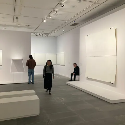 Mes parents sont allé à l'Orangerie aujourd'hui. Je reste perplexe quand à certaines de leurs expositions