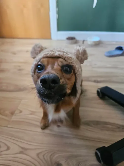 Kevin is contagious happiness in a small package