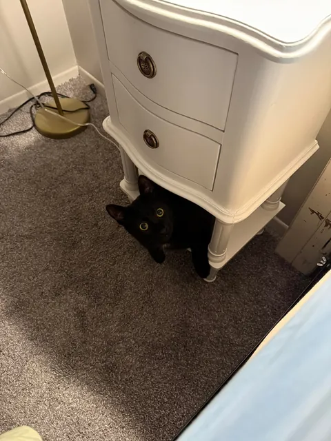 Soup Update: HE IS AN ADULT!!!