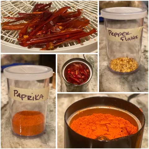 Home grown paprika!!