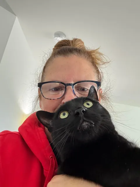 Show me your derpy cat pics