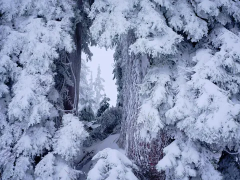 North shore, BC, Canada [OC][1900x1425]