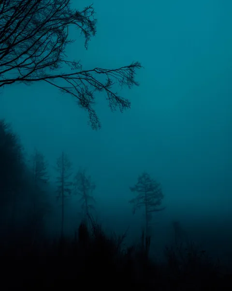 how did i end up here?