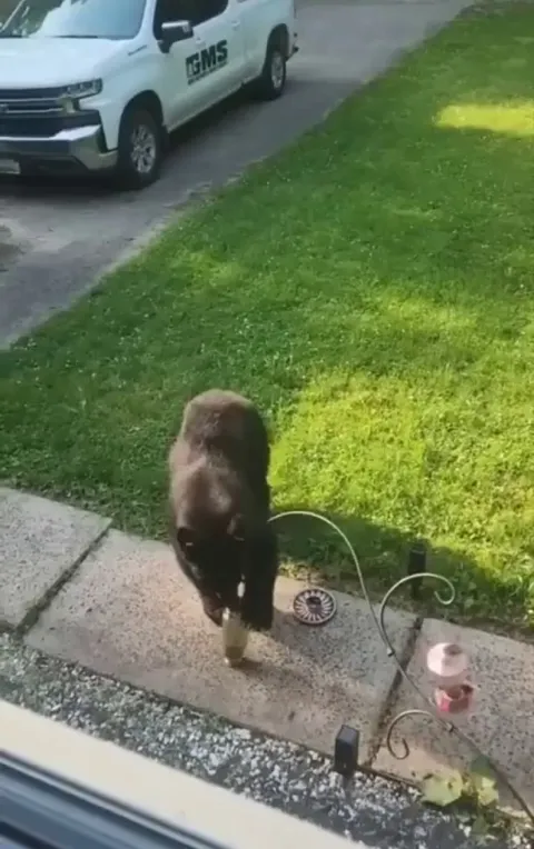 Dad.. do something...