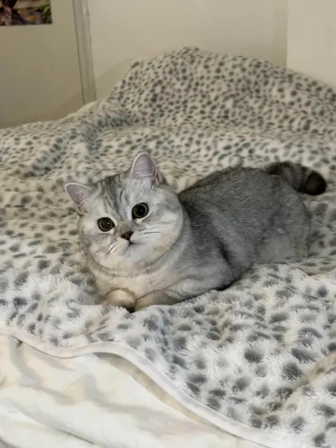 I’ve hired this cat to keep an eye on you