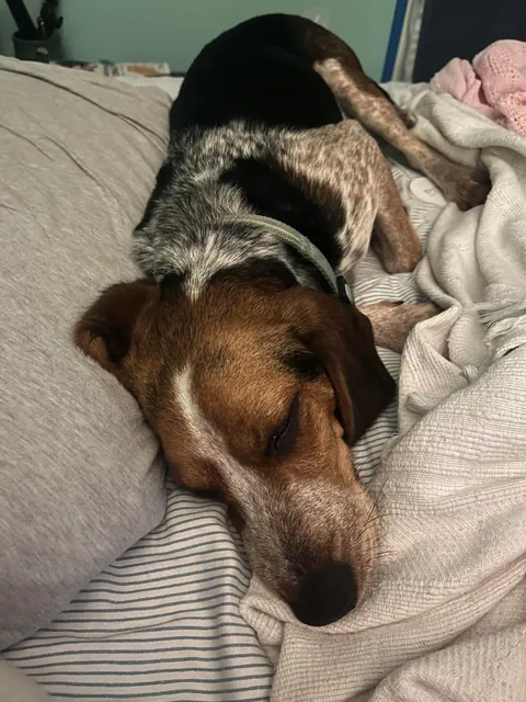 First week being officially ours ❤️