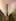 Landing strip or fully shaved