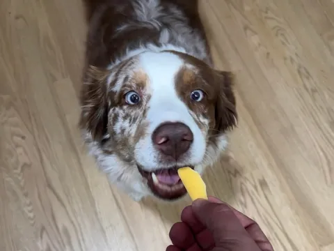 [homemade] onion dogs 3 ways.