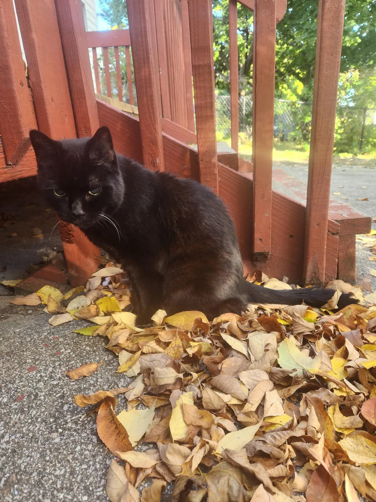 Somehow we are at 22! I love you Sammy ♥️