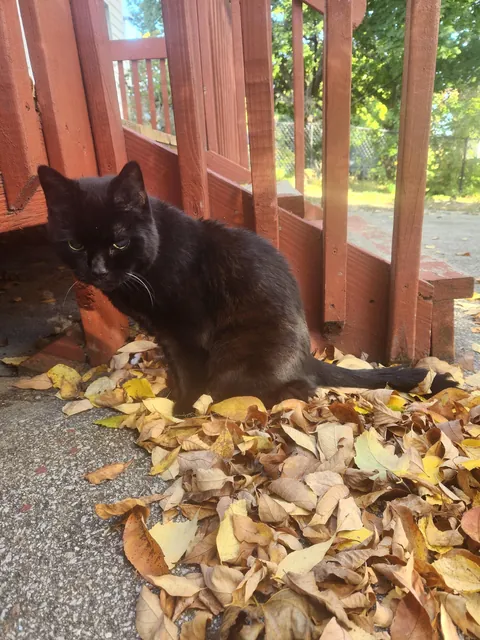 Somehow we are at 22! I love you Sammy ♥️