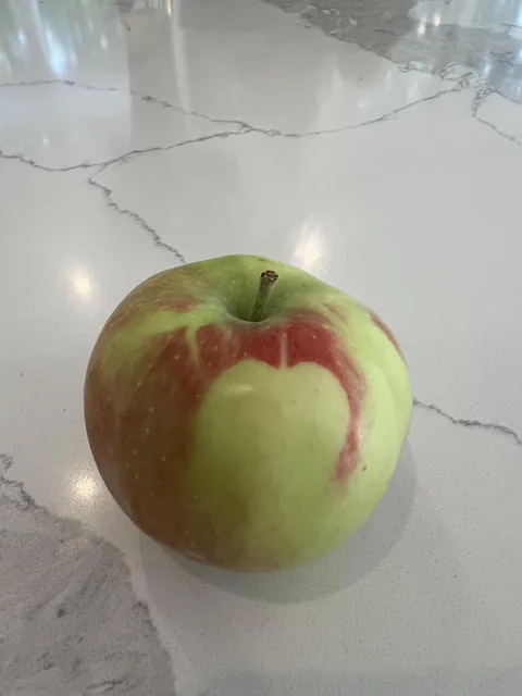 My apple has a self portrait