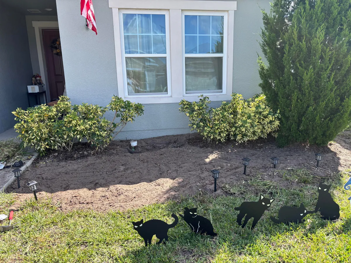 A whole day spent gardening. Before and after!