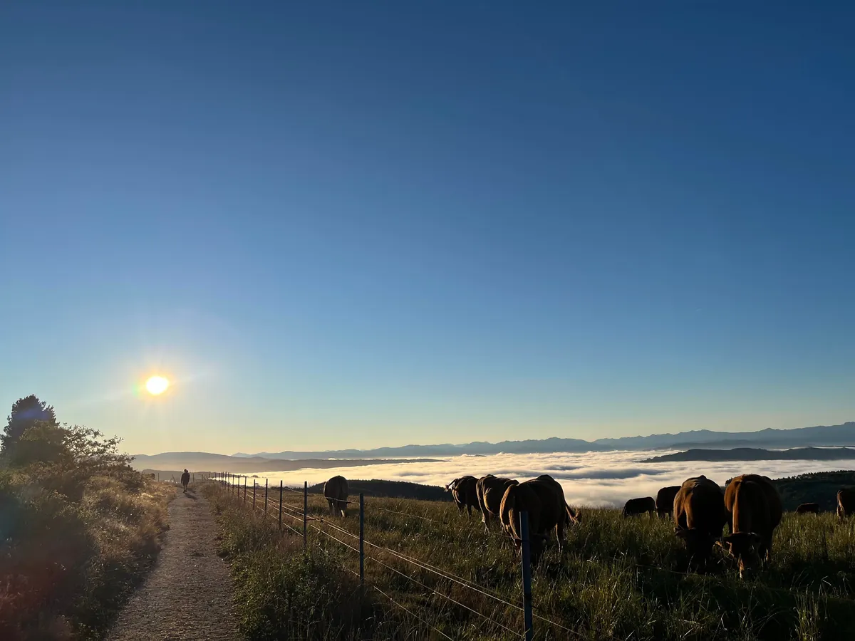 I completed the Camino de Santiago alone in Spain