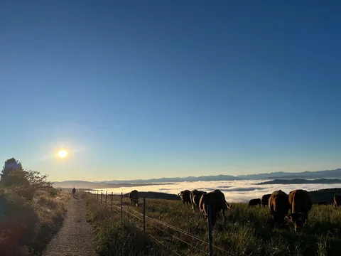 I completed the Camino de Santiago alone in Spain