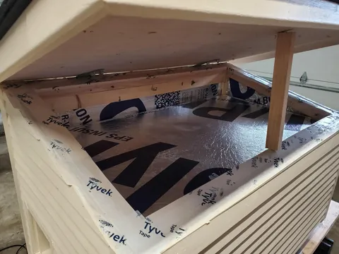 Upgrade for the neighborhood stray