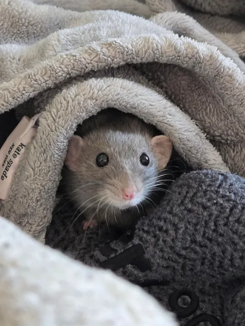 Jimily looking extra cute and boggly today