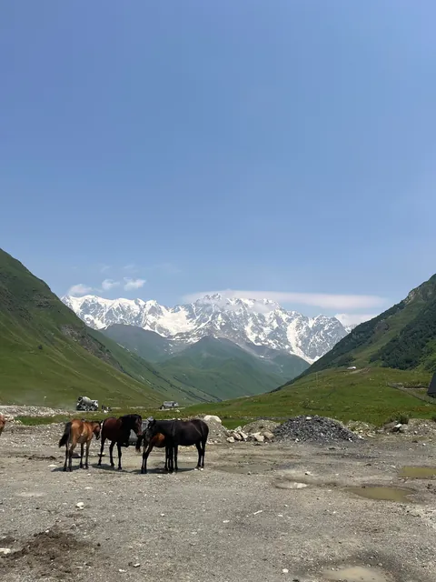 Three weeks in the Southern Caucasus in summer: Azerbaijan, Georgia and Armenia